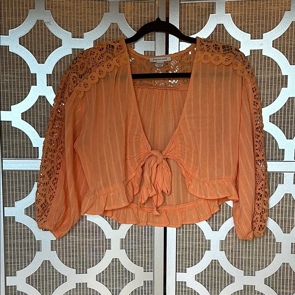 American Eagle Outfitters Orange Crop Blouse with Ruffled Tie Front